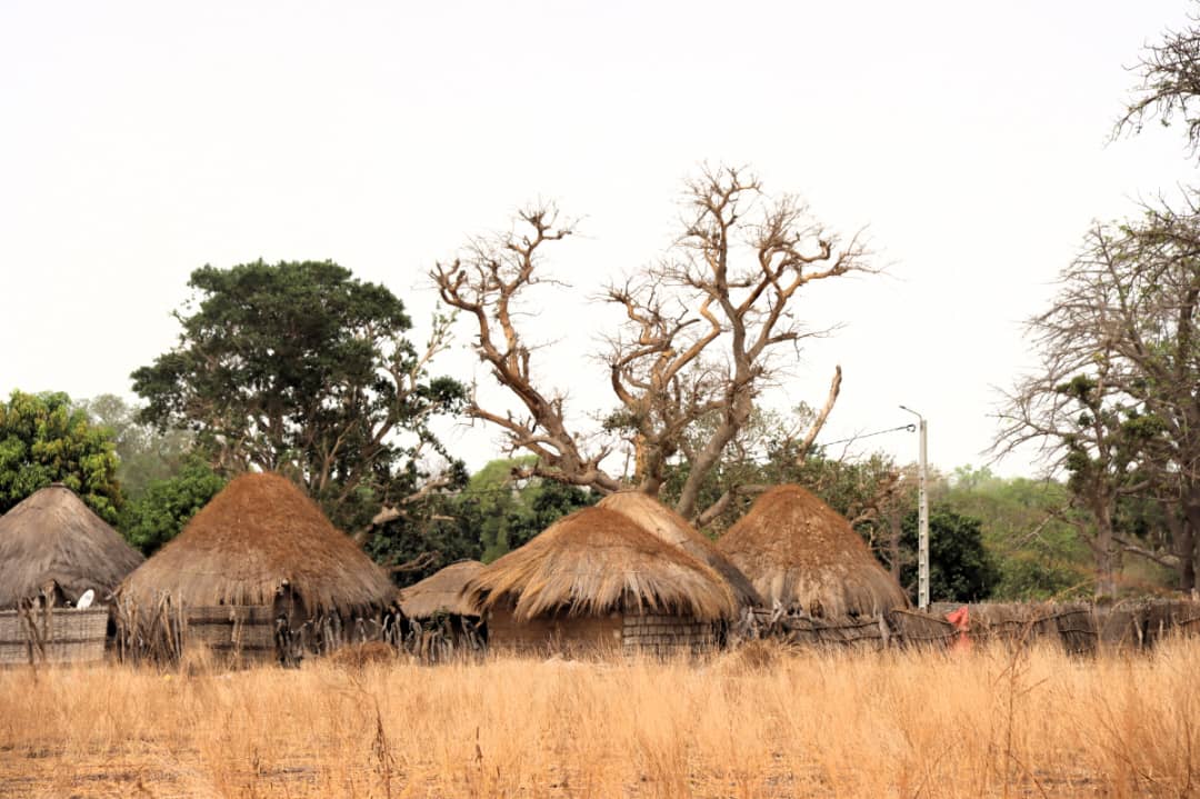 local_village_in_Bissau